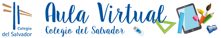 Aula Virtual · Colegio del Salvador